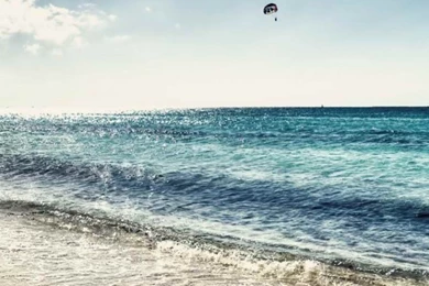 640x1136 Pretty Island Cozumel Mexico Iphone 5 Wallpapers