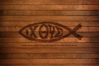 Jesus fish ichthys ichthus ipad scripture christian bible lock ...