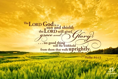 Gallery 2 Columns Filter