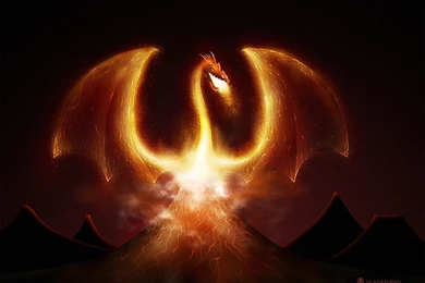 Dragon Wallpapers 2 550X412 Dragon Wallpapers