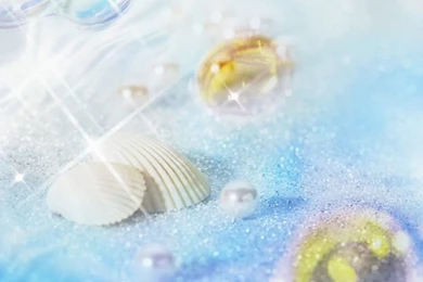 Summer Photo Composite Wallpapers   Beautiful Shell On Beach24 ...