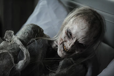 Poltergeist Wallpaper, Movies / Horror: Poltergeist, Best Movies ...