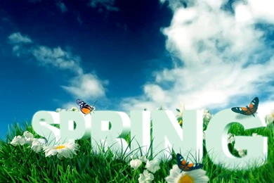 Spring Wallpapers   7