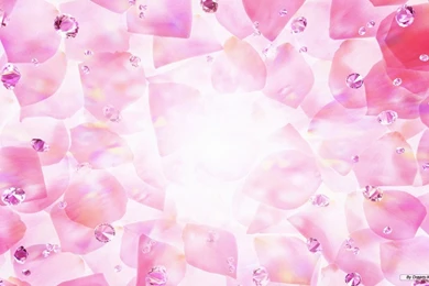 Free Spring Desktop Wallpapers