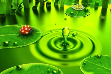 Best Wallpaper: Wallpapers Pack