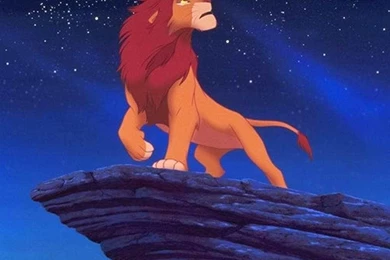 Lion King Wallpapers H4S6B   Free HD Wallpapers