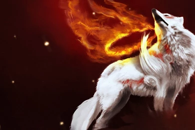 1920x600 Wallpapers Page 773: Cat Sunflowers Animal Animals Cats ...