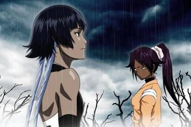 Yoruichi Wallpapers   Yoruichi Fanbase Wallpapers (16523523)   Fanpop