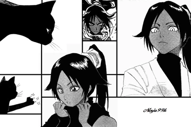 Yoruichi Wallpapers By Ninja99k On DeviantArt