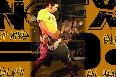Nofx Punk Wallpapers   (