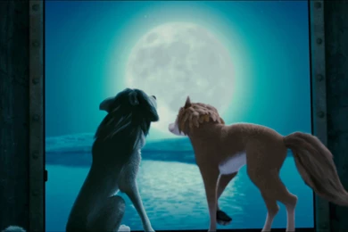 Couple Wallpapers   Alpha And Omega Wallpapers (31614826)   Fanpop