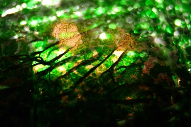 Green Cracked Glass Texture Stock Backgrounds Wallpapers Broken Image Shattered.jpg
