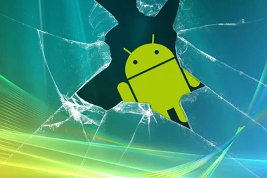 Curious Passer by   Flikie Wallpapers