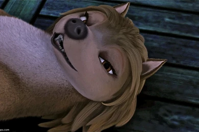 Kate   Alpha And Omega Wallpapers (33173786)   Fanpop