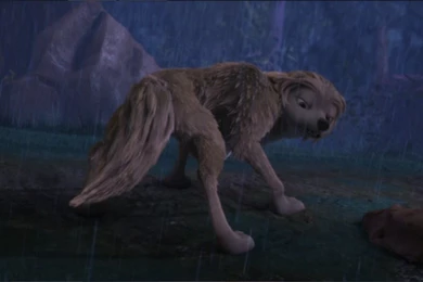 Wallpapers Of Kate   Kate From The Movie "Alpha And Omega" Photo ...