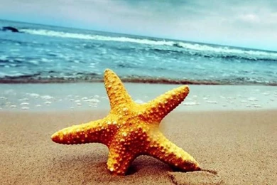 30+ Free iPhone 4 Backgrounds