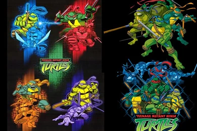 Teenage Mutant Ninja Turtles Cartoon Wallpapers   Crazy Frankenstein