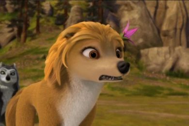 More Kate Wallpapers   Kate From The Movie "Alpha And Omega" Photo ...