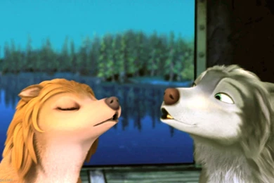 Humphrey And Kate   Alpha And Omega Wallpapers (32729599)   Fanpop