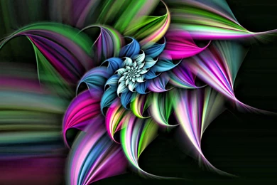 Unique Flower 4K 3D Wallpapers