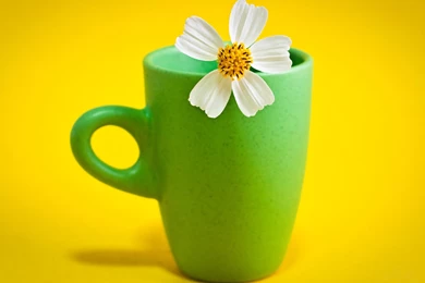 Flower Cup