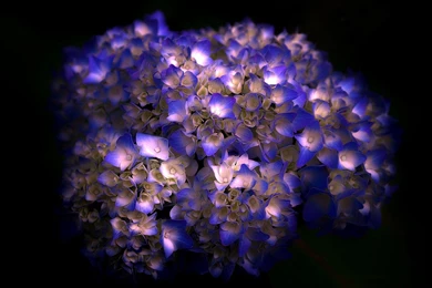 Normal Wallpapers Page 3: Lake Montreux Switzerland Geneva Lakes ...