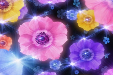 HD Wallpapers Freebie   Quality Free Download Wallpapers