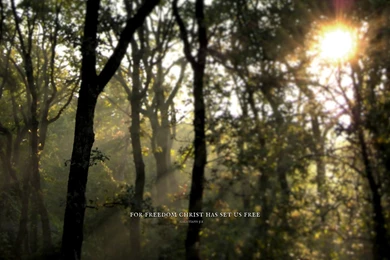Free Desktop Wallpapers Calendars: September 2012