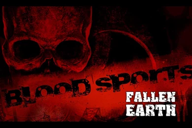 Wallpapers   Fallen Earth