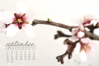 September 2013 Desktop Calendar And Wallpapers   I Love Pom poms ...