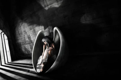 Fallen Angel Live Wallpapers   Android Apps And Tests   AndroidPIT