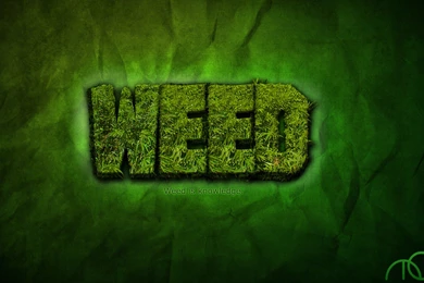 Marijuana Wallpapers Hd   Wallpapers HD Fine
