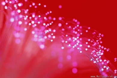 3d Fibre optical － 3D Digital Art Wallpapers   Free Download ...