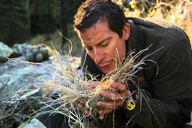 Discovery Channel Star: Bear Grylls Profile