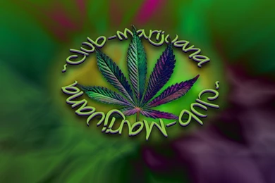 Marijuana Wallpapers   Wallpapers HD Fine