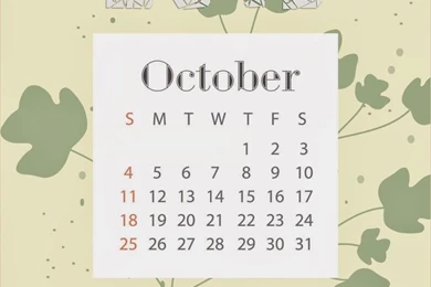 iPhone 5 Wallpapers On Pinterest