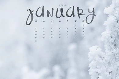Hello January! Downloadable Calendar Freebie.   To Live Beautifully