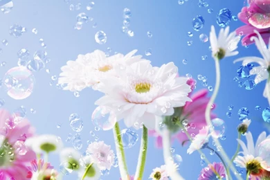 Wallpapers Cartoon Cute Girls Wallcoo Wallpapper Illustration ...