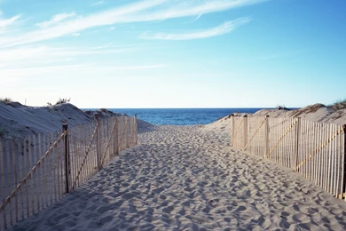 Wallpaper, Summer, Other, Screensavers (