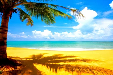 3D Summer Screensavers Wallpapers