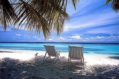 3D Summer Screensavers Wallpapers