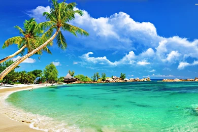 Tropical Beach