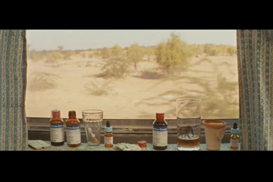 Darjeeling Limited
