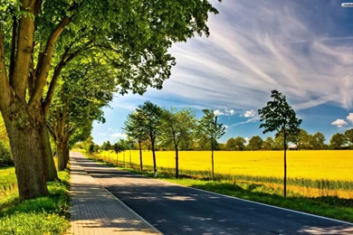 YouWall   Spring Road Wallpapers   Wallpaper,wallpapers,free ...