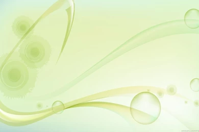 Light Green Wallpapers   Wallpapers Cave