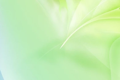 Line Light Green White iPhone 6 Wallpapers Download