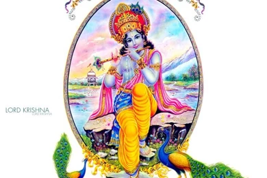 FREE Download Lord Krishna Wallpapers