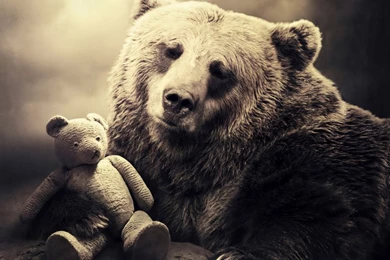 Page 4: 1280x1024 Bear Wallpapers HD, Desktop Backgrounds ...