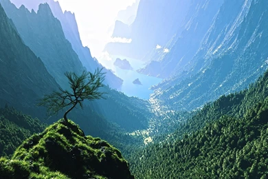 Mountain Forest Valley