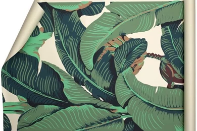 Tastemaker: GiGi Grimstad